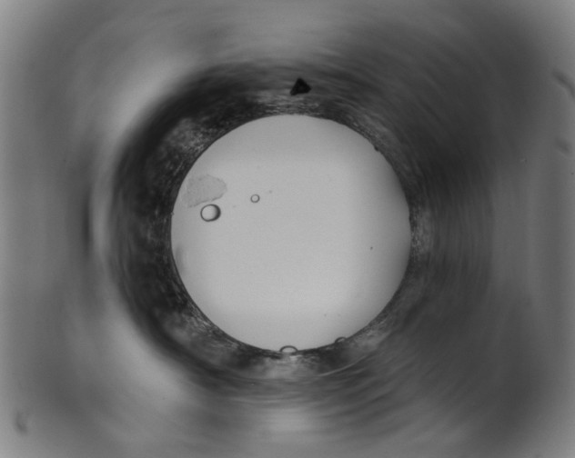 X0000100870430200807111322