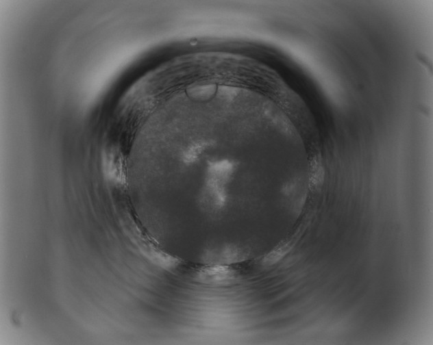 X0000100870431200807111322