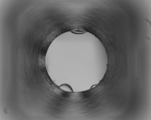 X0000100870432200807111322