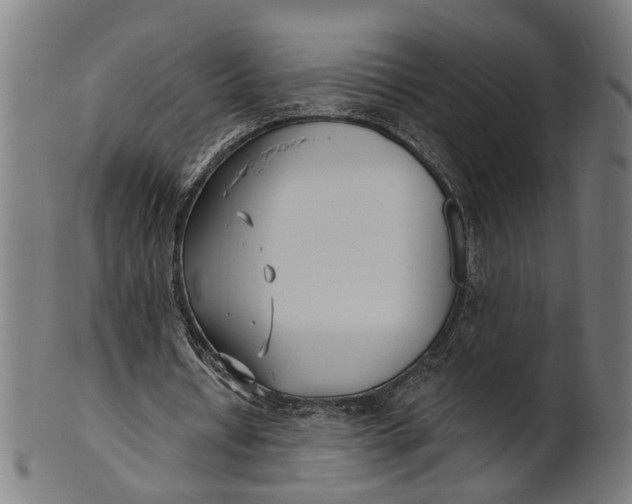 X0000100870434200807111321