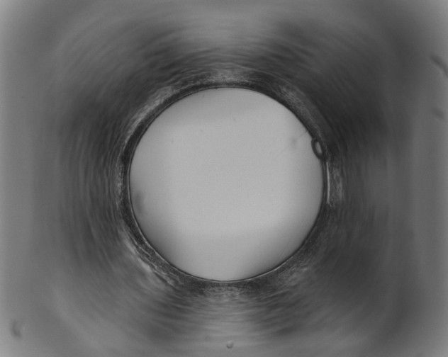 X0000100870435200807111322