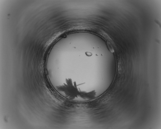 X0000100870436200807111322