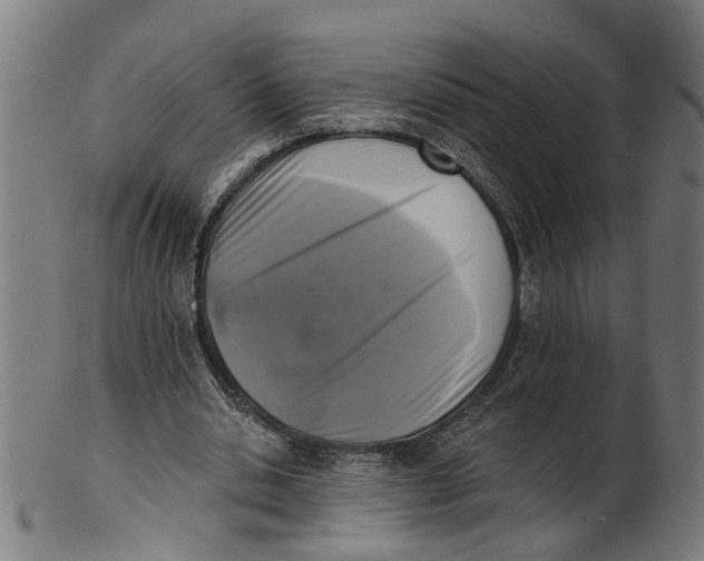 X0000100870438200807111322