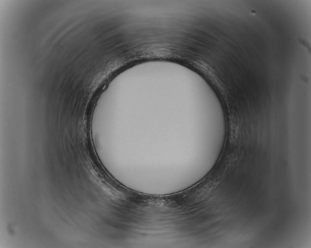 X0000100870439200807111322