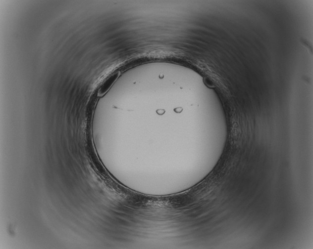 X0000100870440200807111322