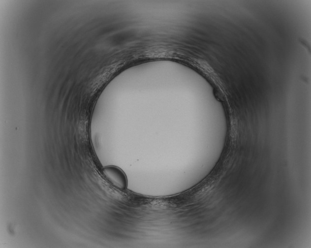 X0000100870441200807111322