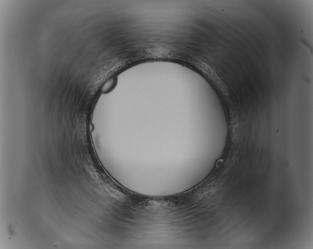 X0000100870442200807111322