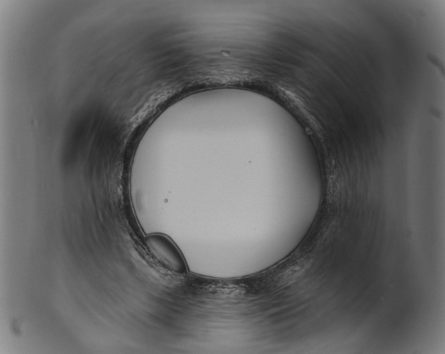 X0000100870443200807111322