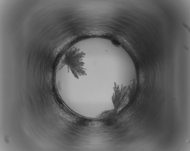 X0000100870444200807111322