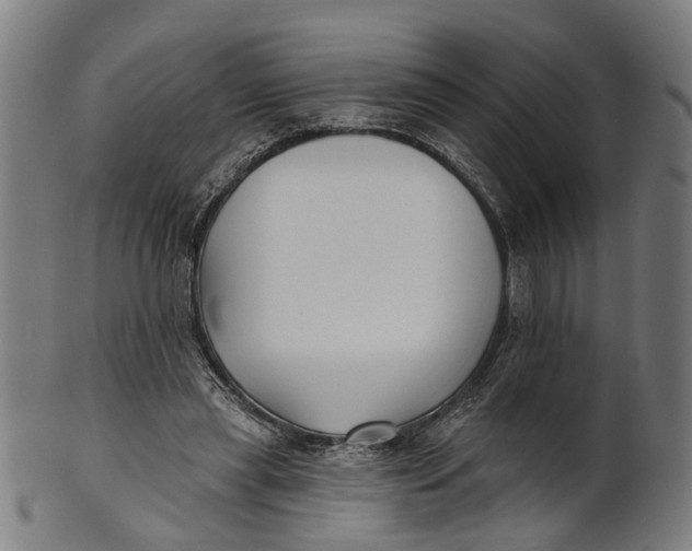 X0000100870445200807111322