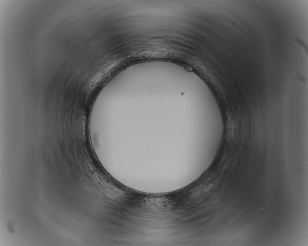 X0000100870446200807111322