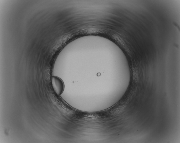 X0000100870447200807111322