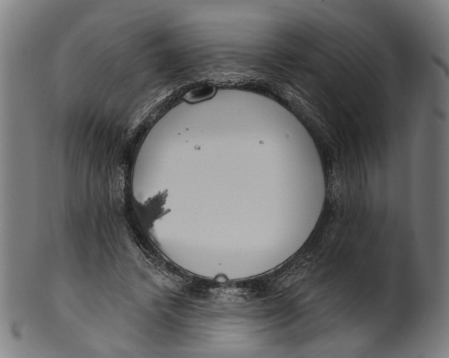 X0000100870448200807111322