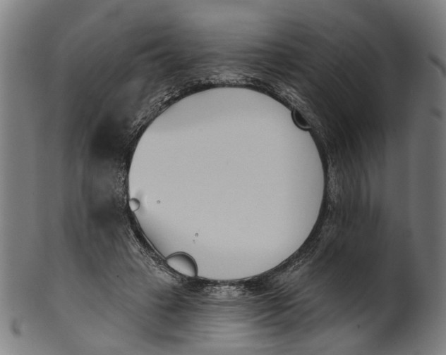 X0000100870449200807111322