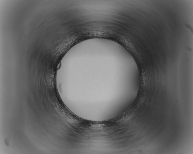 X0000100870450200807111322