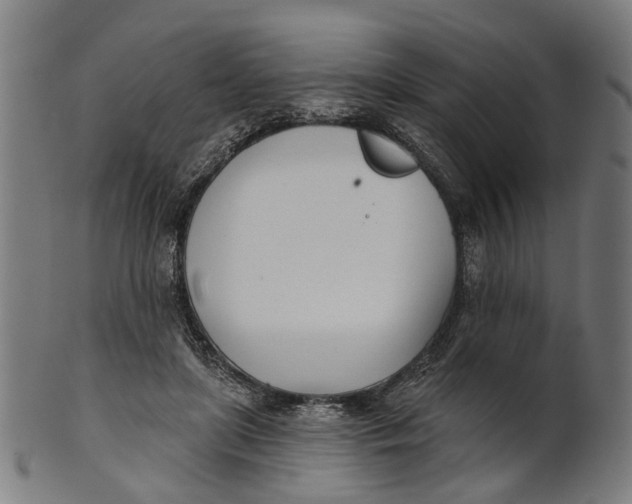 X0000100870451200807111322