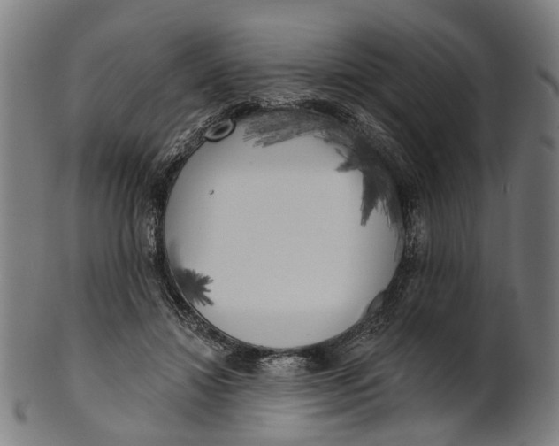 X0000100870452200807111322