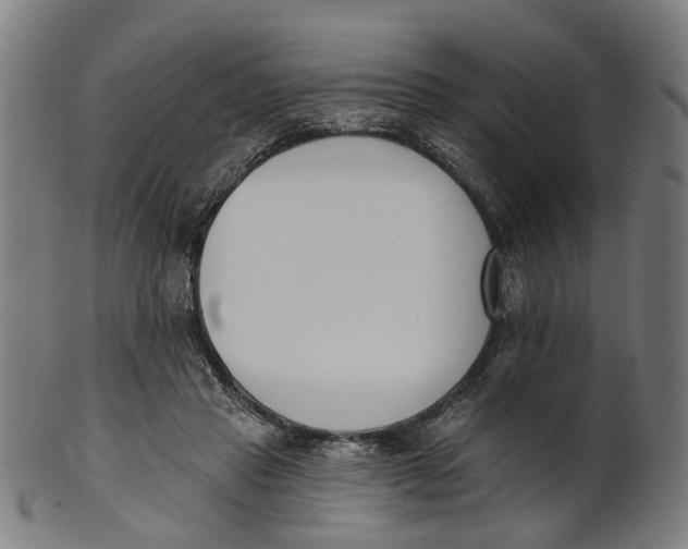 X0000100870453200807111322