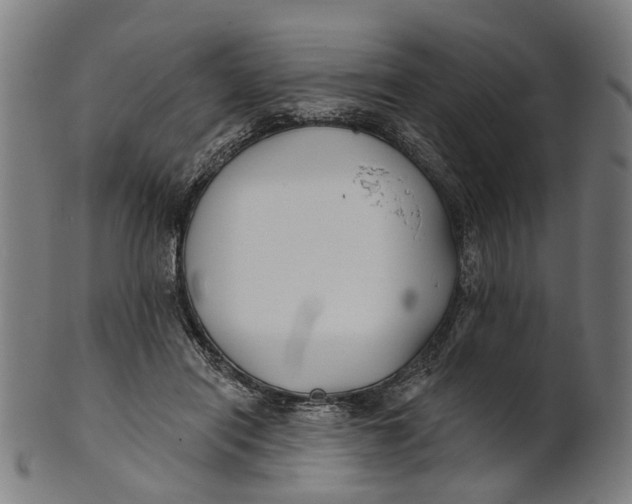 X0000100870454200807111322