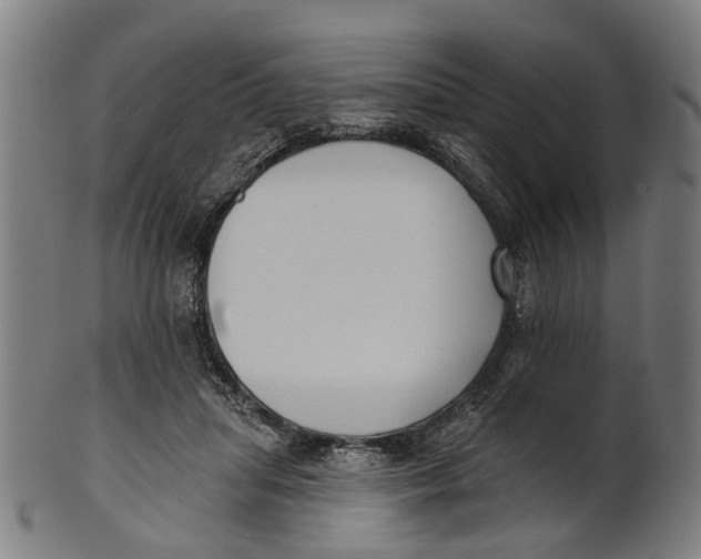 X0000100870455200807111322