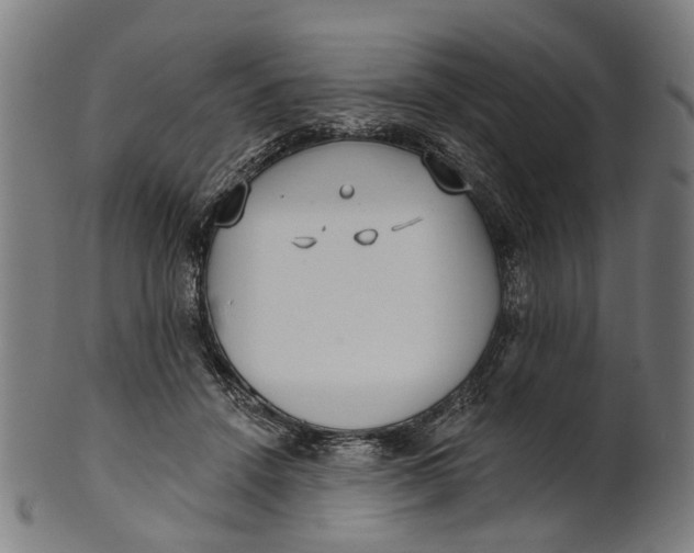 X0000100870456200807111322