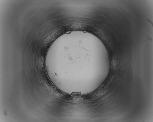 X0000100870458200807111322