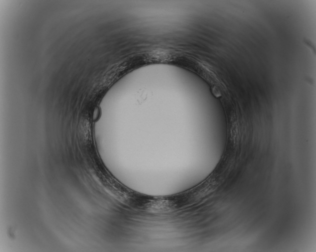 X0000100870459200807111322