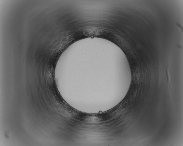 X0000100870460200807111322