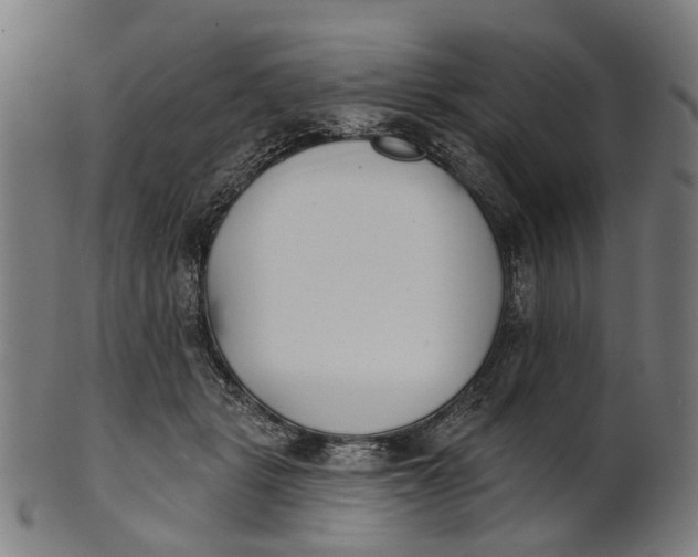 X0000100870461200807111322