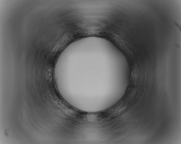 X0000100870462200807111322