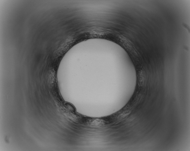 X0000100870463200807111322