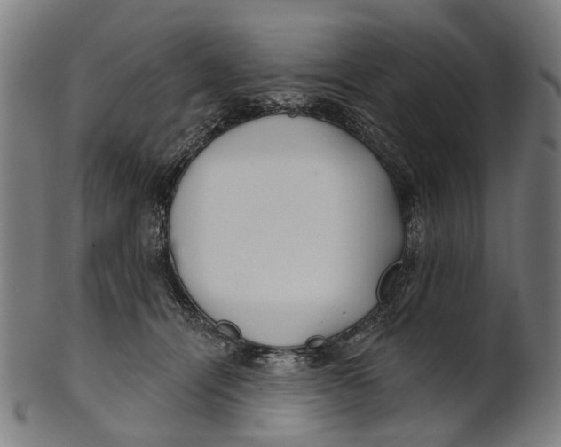 X0000100870464200807111322