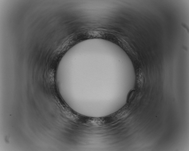 X0000100870466200807111322