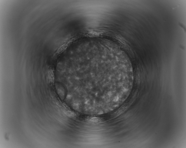 X0000100870467200807111322