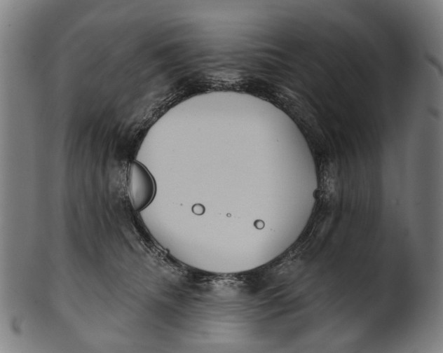 X0000100870468200807111322