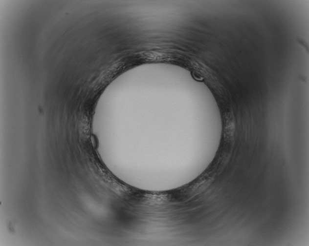 X0000100870469200807111322