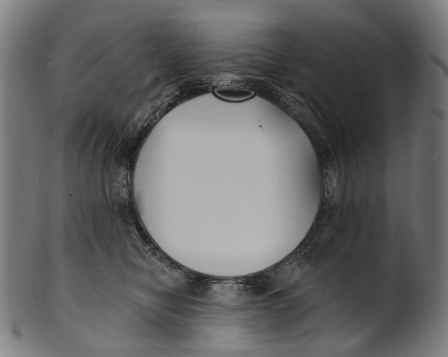 X0000100870470200807111322