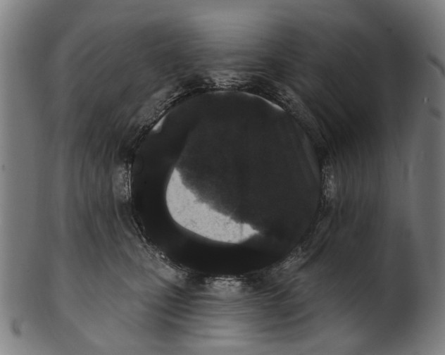 X0000100870471200807111322