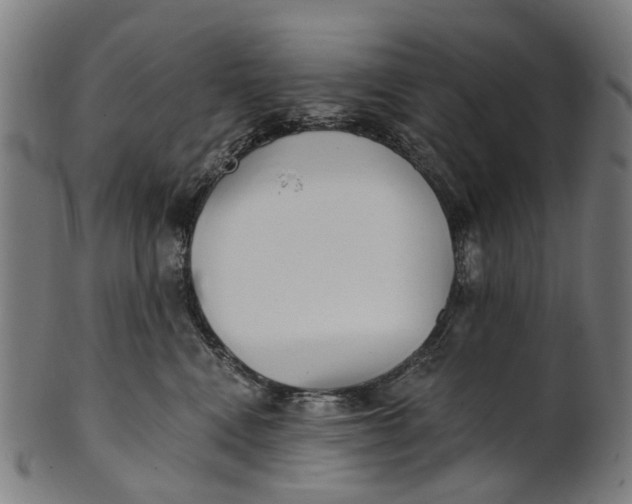 X0000100870472200807111322