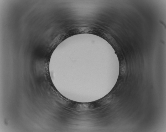 X0000100870473200807111322