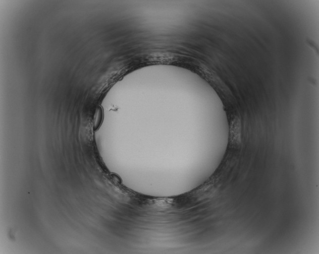 X0000100870474200807111322