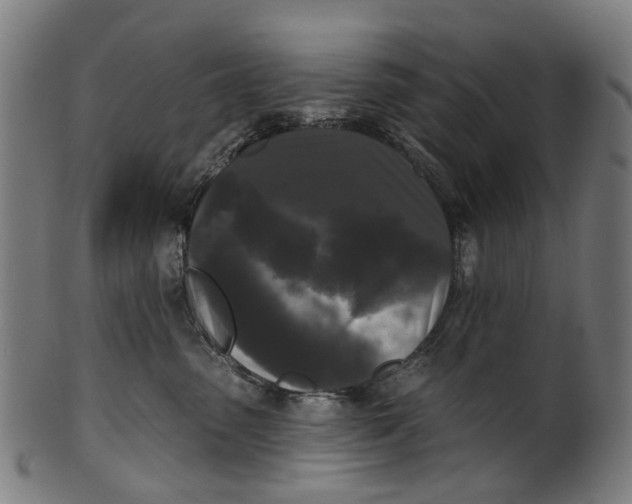 X0000100870475200807111322