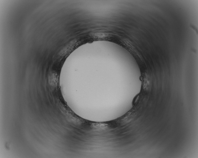 X0000100870476200807111322