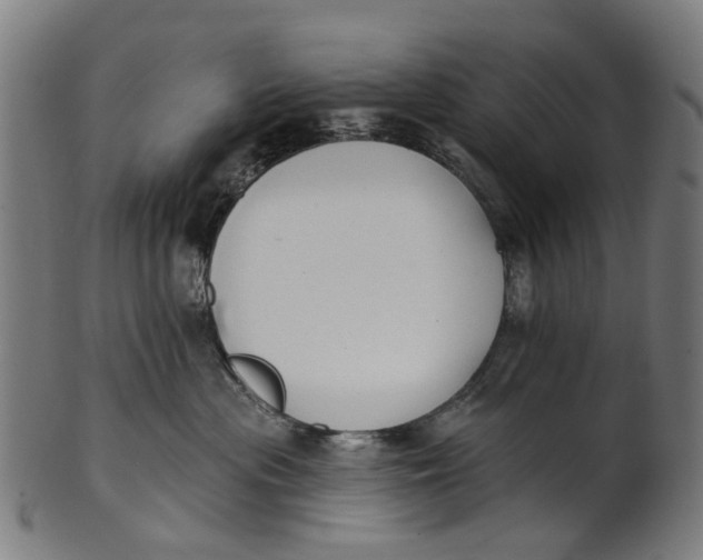 X0000100870477200807111322