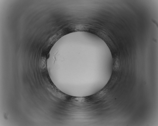 X0000100870478200807111322