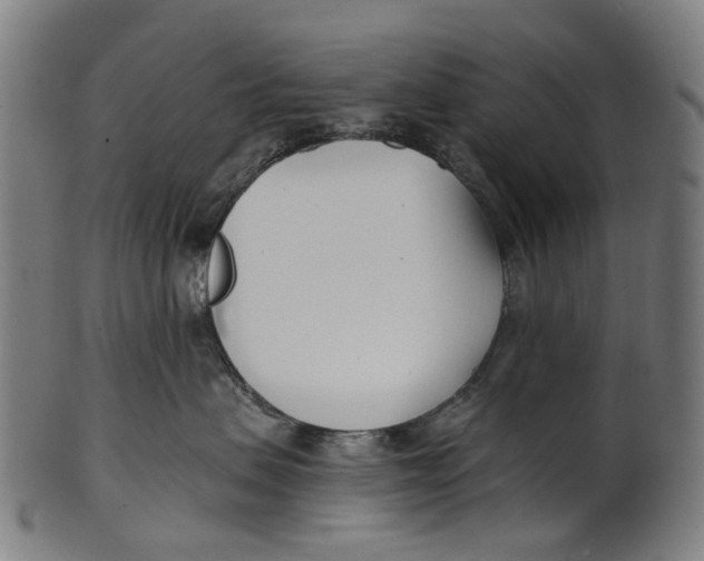 X0000100870479200807111322