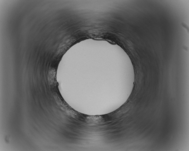 X0000100870480200807111322