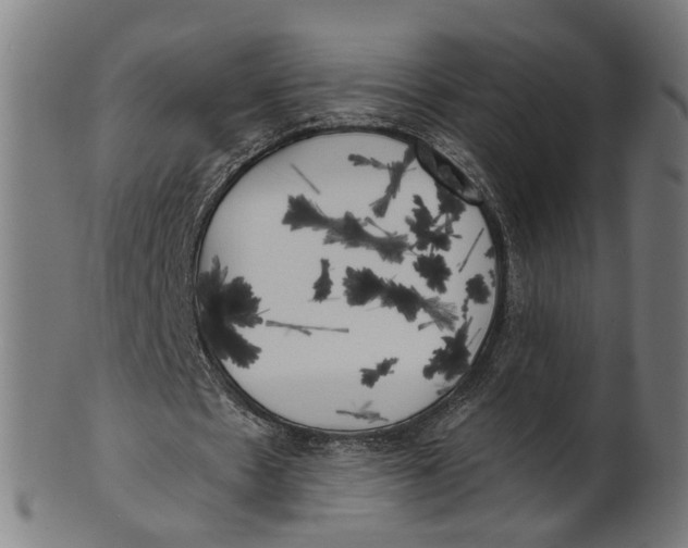 X0000100870481200807111321