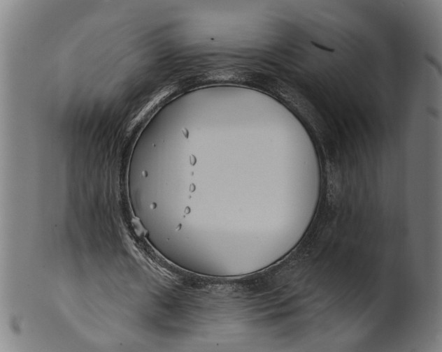 X0000100870482200807111321