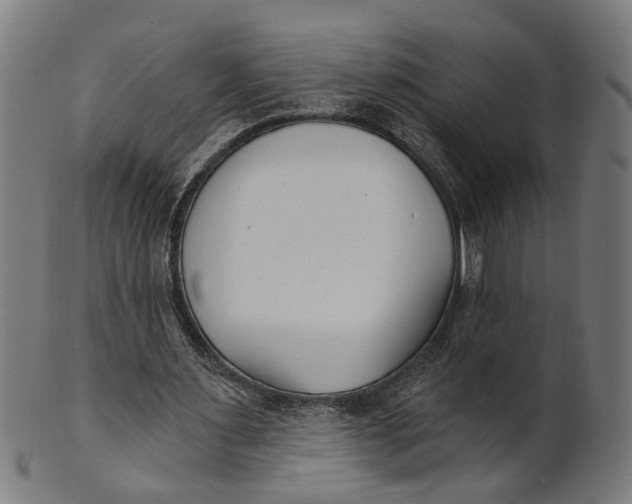 X0000100870483200807111321